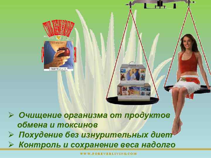 Ø Очищение организма от продуктов обмена и токсинов Ø Похудение без изнурительных диет Ø