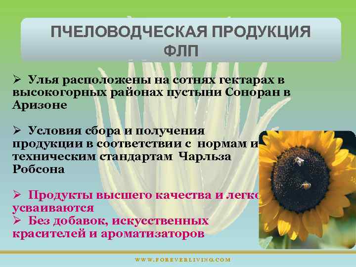 ПЧЕЛОВОДЧЕСКАЯ ПРОДУКЦИЯ ФЛП Ø Улья расположены на сотнях гектарах в высокогорных районах пустыни Соноран