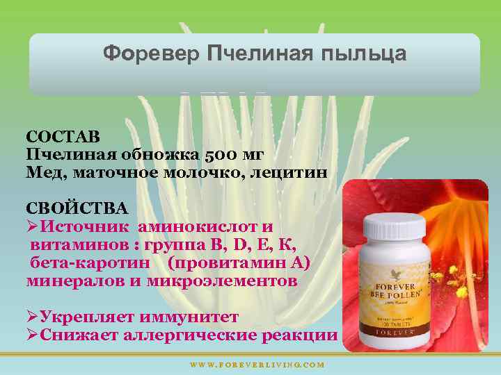 Форевер Пчелиная пыльца СОСТАВ Пчелиная обножка 500 мг Мед, маточное молочко, лецитин СВОЙСТВА ØИсточник