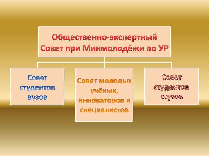 Общественно-экспертный Совет при Минмолодёжи по УР Совет студентов ссузов 