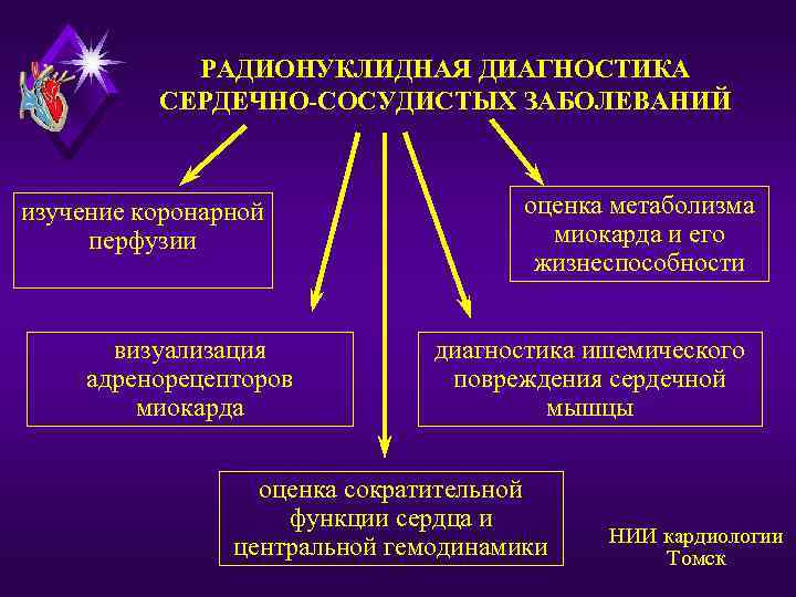 РАДИОНУКЛИДНАЯ ДИАГНОСТИКА СЕРДЕЧНО-СОСУДИСТЫХ ЗАБОЛЕВАНИЙ изучение коронарной перфузии визуализация адренорецепторов миокарда оценка метаболизма миокарда и