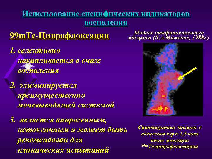 Использование специфических индикаторов воспаления 99 m. Тс-Ципрофлоксацин Модель стафилококкового абсцесса (Л. А. Мамедов, 1988