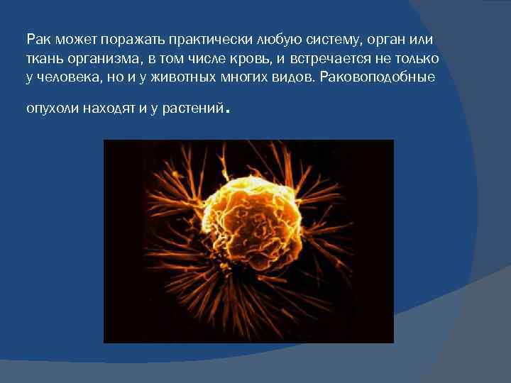 Рак может поражать практически любую систему, орган или ткань организма, в том числе кровь,