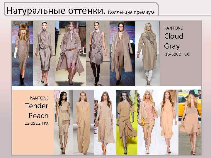 Натуральные оттенки. Коллекция премиум PANTONE Cloud Gray 15 -3802 TCX PANTONE Tender Peach 12