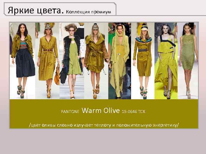 Яркие цвета. Коллекция премиум PANTONE Warm Olive 15 -0646 TCX /цвет оливы словно излучает