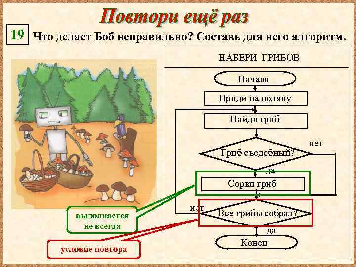19 Что делает Боб неправильно? Составь для него алгоритм. НАБЕРИ ГРИБОВ Начало Приди на