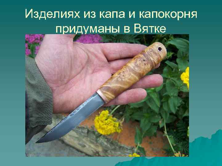 Изделиях из капа и капокорня придуманы в Вятке 