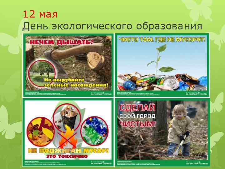12 мая День экологического образования 