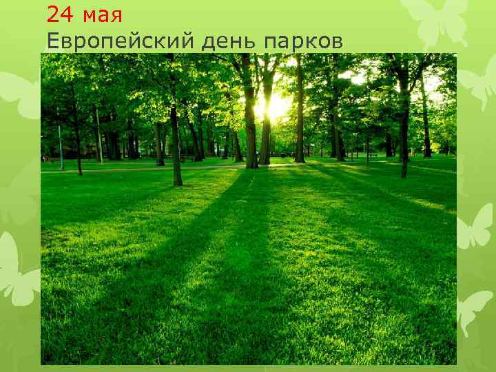 24 мая Европейский день парков 