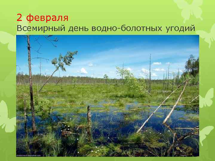 2 февраля Всемирный день водно-болотных угодий 