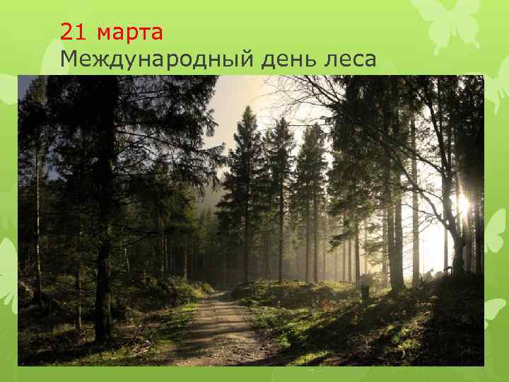 21 марта Международный день леса 
