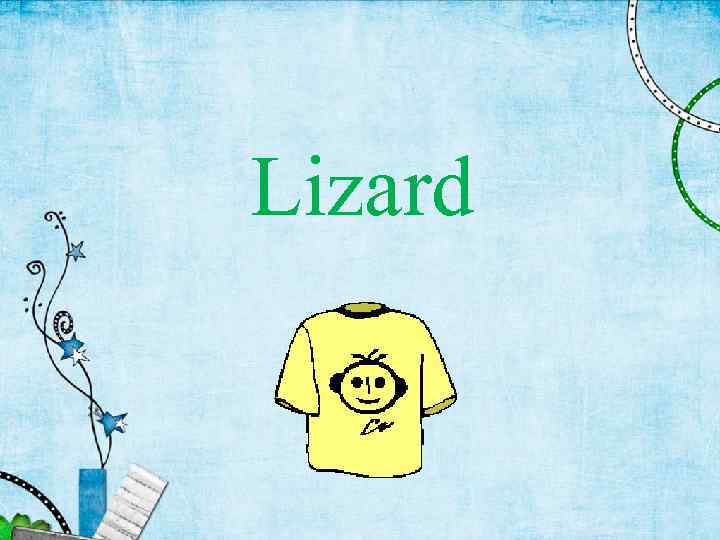 Lizard 