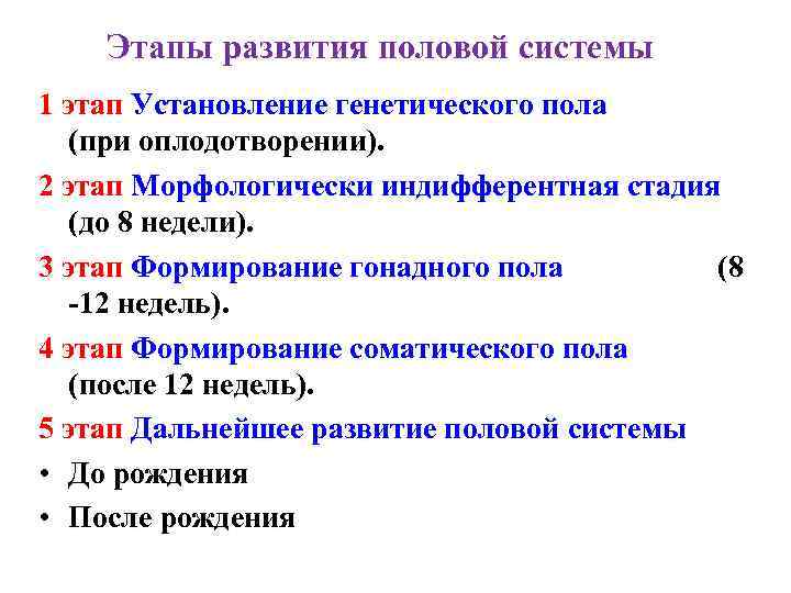 Этапы развития половой системы 1 этап Установление генетического пола (при оплодотворении). 2 этап Морфологически