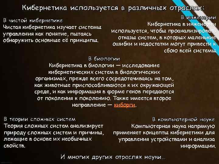 Какое из понятий положено в основу информатики кибернетика компьютер информация алгоритм