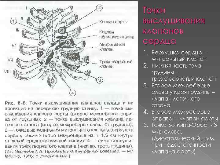 Аортальный клапан точка