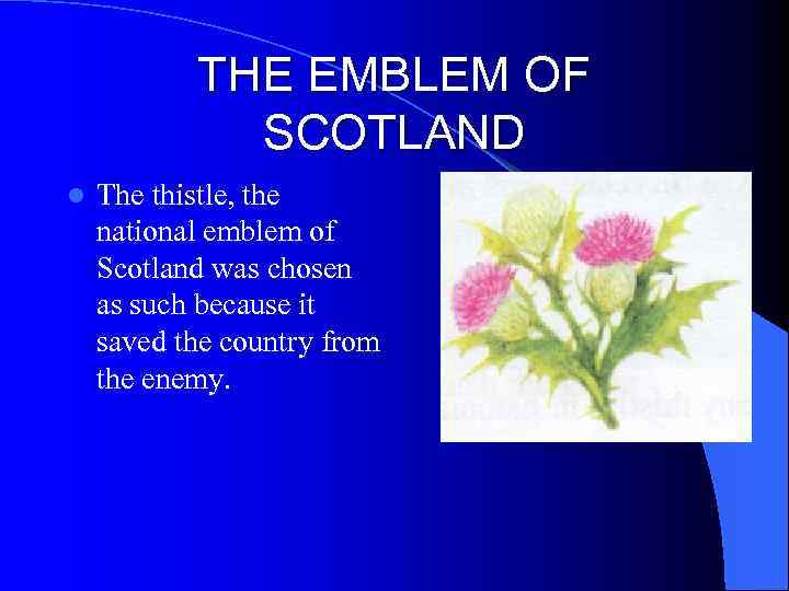 THE EMBLEM OF SCOTLAND l The thistle, the national emblem of Scotland was chosen