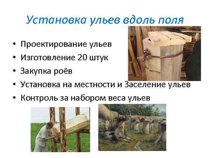 Установка ульев вдоль поля • • • Проектирование ульев Изготовление 20 штук Закупка роёв