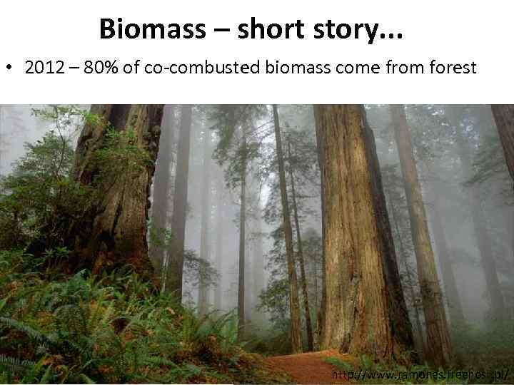 Biomass – short story. . . • 2012 – 80% of co-combusted biomass come
