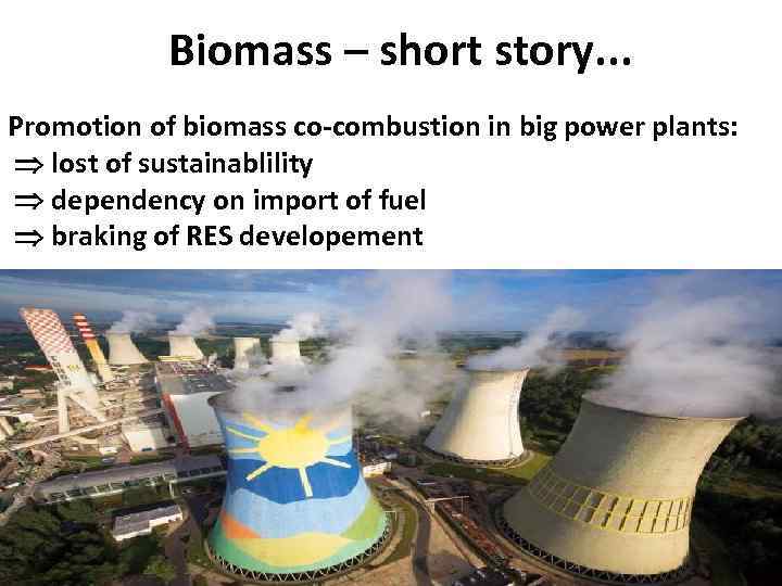 Biomass – short story. . . Promotion of biomass co-combustion in big power plants: