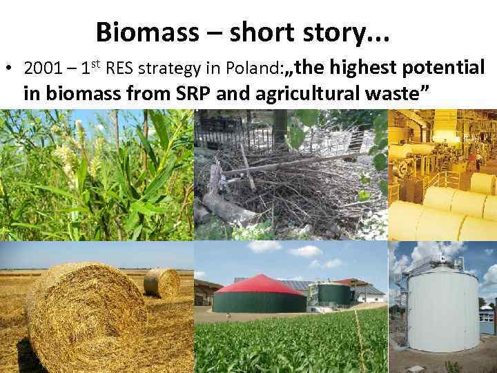 Biomass – short story. . . • 2001 – 1 st RES strategy in