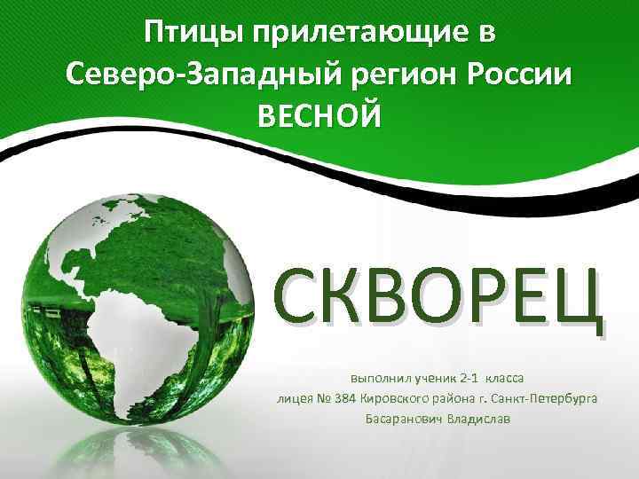 Птицы прилетающие в Северо-Западный регион России ВЕСНОЙ СКВОРЕЦ выполнил ученик 2 -1 класса лицея