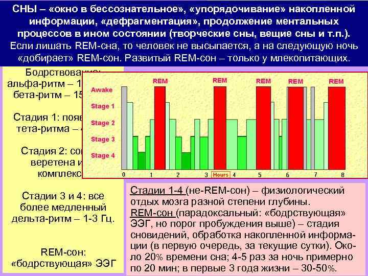 СНЫ – «окно в бессознательное» , «упорядочивание» накопленной Но все еще сложнее, и информации,