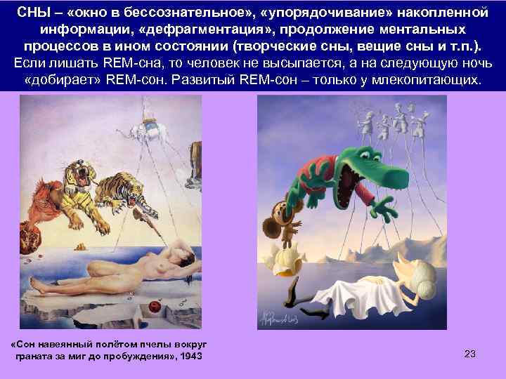 СНЫ – «окно в бессознательное» , «упорядочивание» накопленной информации, «дефрагментация» , продолжение ментальных REM: