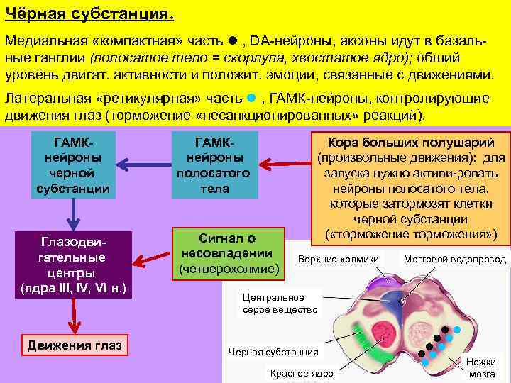 Обои аксон кострома