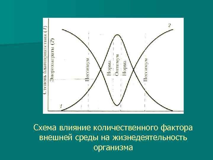 Схема действия фактора среды на организмы