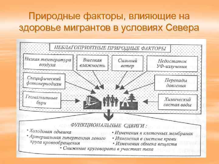 Природные факторы человека