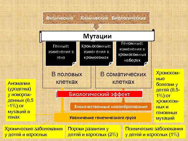 Физические Химические Биологические Мутации Генные: изменения в гена Аномалии (уродства) у новорожденных (0, 5