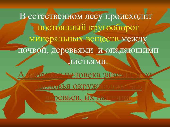 В естественном лесу происходит постоянный кругооборот минеральных веществ между почвой, деревьями и опадающими листьями.