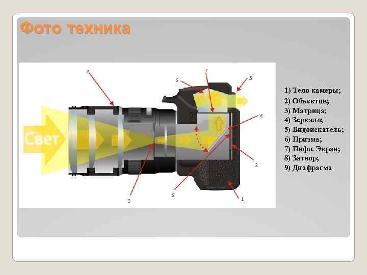 Фото техника 1) Тело камеры; 2) Объектив; 3) Матрица; 4) Зеркало; 5) Видоискатель; 6)