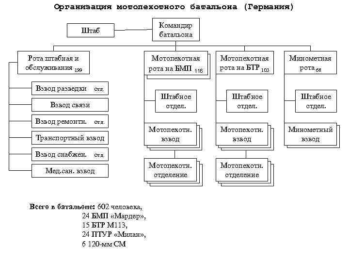 Постройте граф отображающий состав и структура мотопехотного батальона армия фрг образца 1970