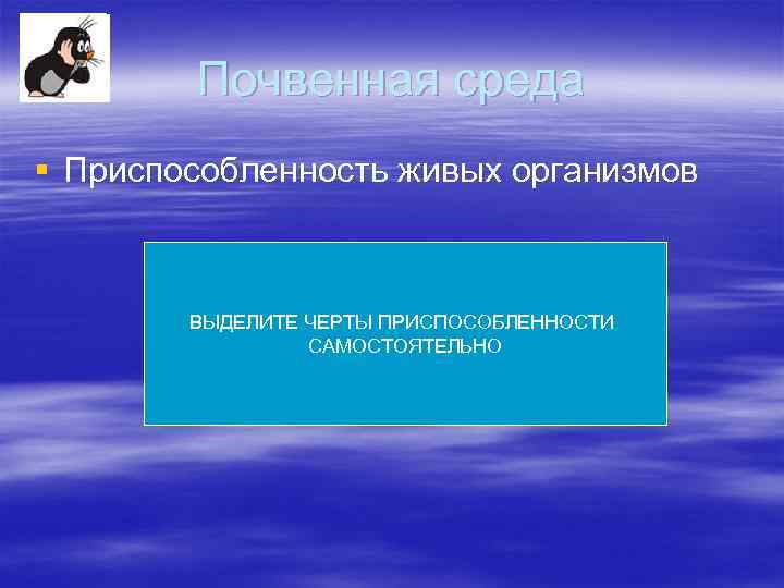 Почвенная среда § Приспособленность живых организмов ВЫДЕЛИТЕ ЧЕРТЫ ПРИСПОСОБЛЕННОСТИ САМОСТОЯТЕЛЬНО 