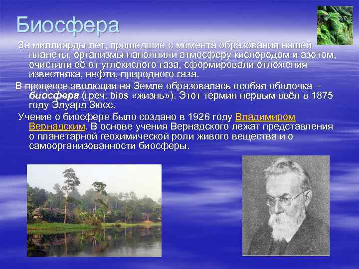 Биосфера За миллиарды лет, прошедшие с момента образования нашей планеты, организмы наполнили атмосферу кислородом