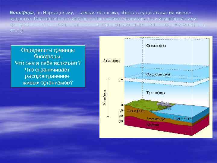 Признаки биосферы земли. Биосфера, по Вернадскому, – земная оболочка,. Границы биосферы по Вернадскому. Структура биосферы по Вернадскому схема. Биосфера включает в себя.