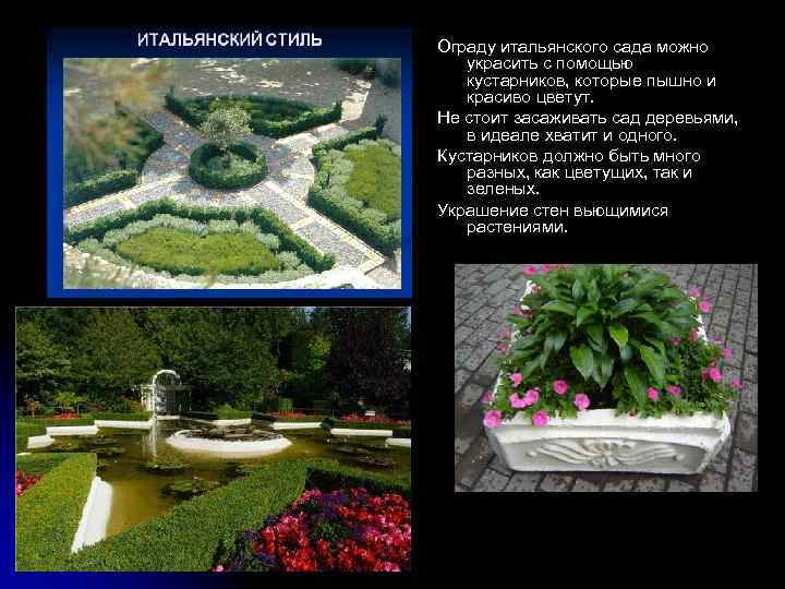 Ограду итальянского сада можно украсить с помощью кустарников, которые пышно и красиво цветут. Не