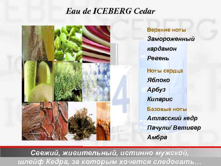 Eau de ICEBERG Cedar Верхние ноты Замороженный кардамон Ревень Ноты сердца Яблоко Арбуз Кипарис