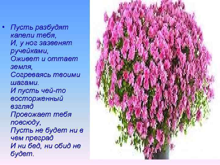  • Пусть разбудят капели тебя, И, у ног зазвенят ручейками, Оживет и оттает