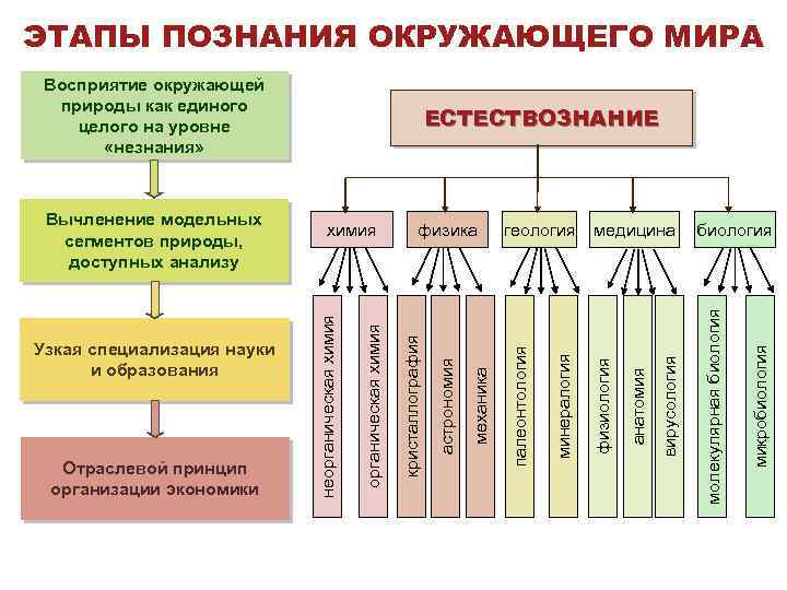 Этапы познания