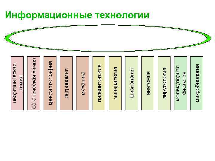 микробиология молекулярная биология вирусология анатомия физиология минералогия палеонтология механика астрономия кристаллография органическая химия неорганическая