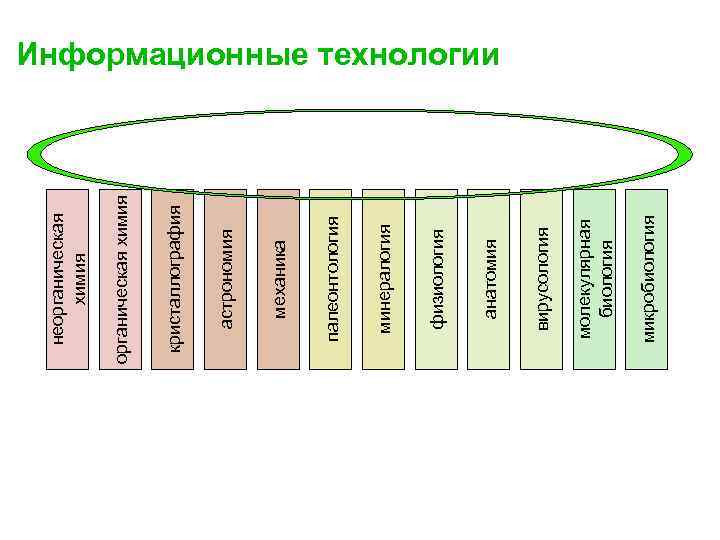 микробиология молекулярная биология вирусология анатомия физиология минералогия палеонтология механика астрономия кристаллография органическая химия неорганическая