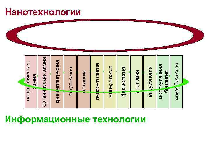 Информационные технологии микробиология молекулярная биология вирусология анатомия физиология минералогия палеонтология механика астрономия кристаллография органическая