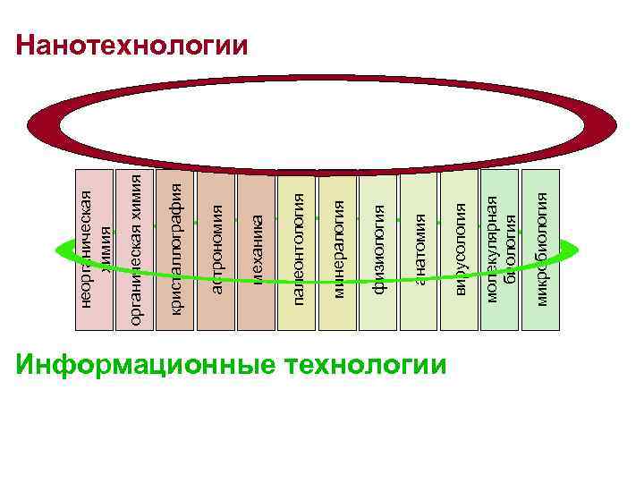 Информационные технологии микробиология молекулярная биология вирусология анатомия физиология минералогия палеонтология механика астрономия кристаллография органическая