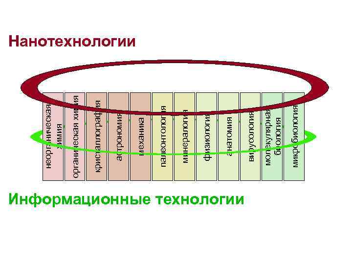 Информационные технологии микробиология молекулярная биология вирусология анатомия физиология минералогия палеонтология механика астрономия кристаллография органическая