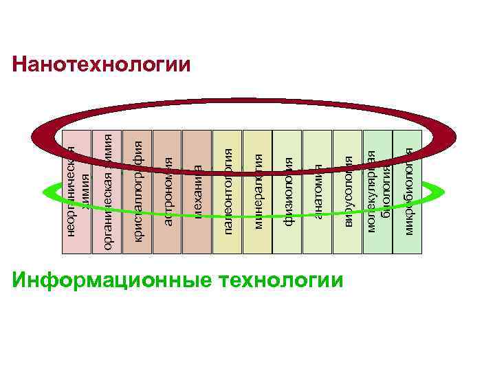 Информационные технологии микробиология молекулярная биология вирусология анатомия физиология минералогия палеонтология механика астрономия кристаллография органическая