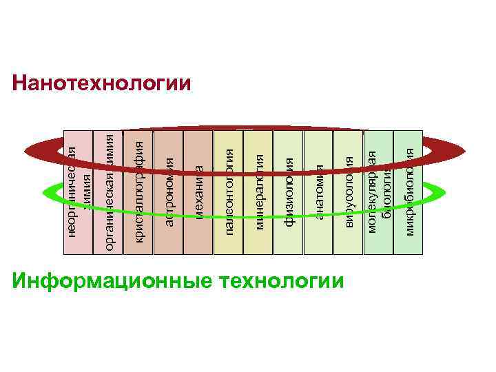 Информационные технологии микробиология молекулярная биология вирусология анатомия физиология минералогия палеонтология механика астрономия кристаллография органическая