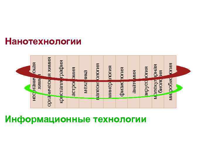 Информационные технологии микробиология молекулярная биология вирусология анатомия физиология минералогия палеонтология механика астрономия кристаллография органическая