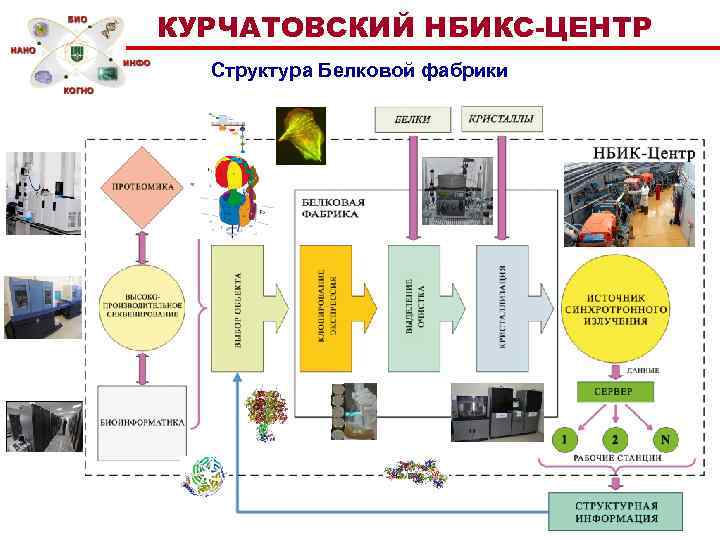КУРЧАТОВСКИЙ НБИКС-ЦЕНТР Структура Белковой фабрики 